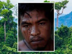 IIlegale Holzfäller ermorden Amazonas-Stammesführer