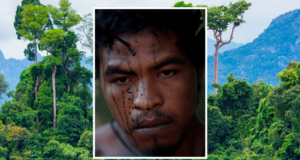 IIlegale Holzfäller ermorden Amazonas-Stammesführer
