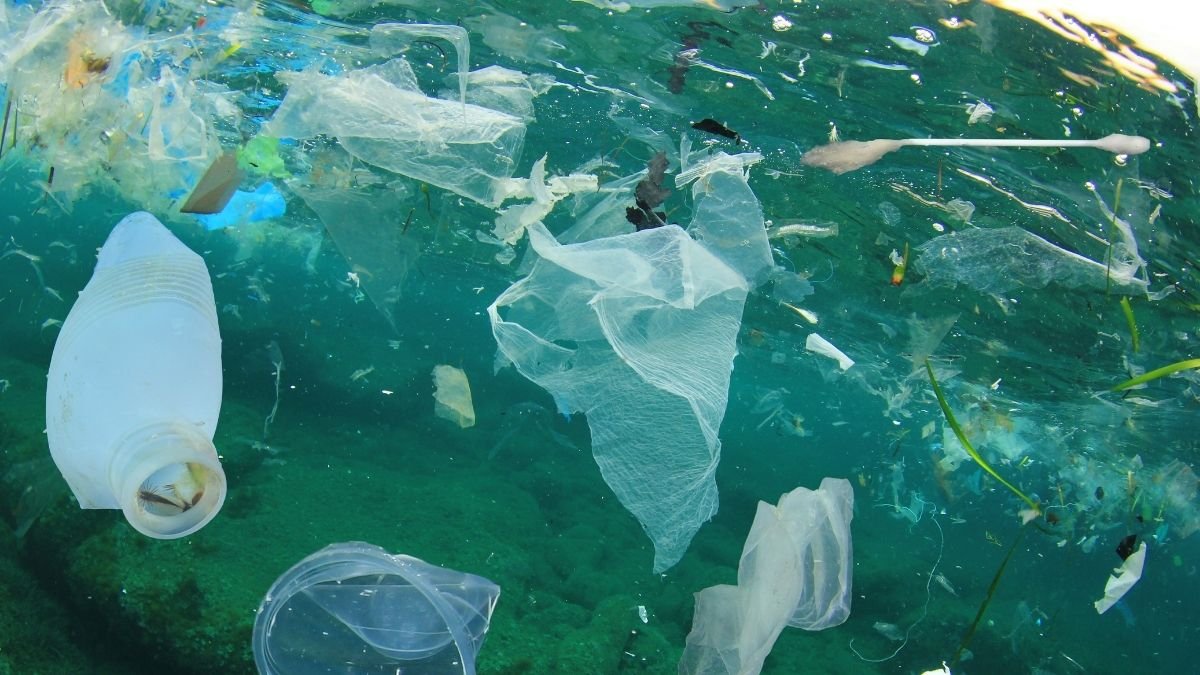 Geomagnetic induced current (1)