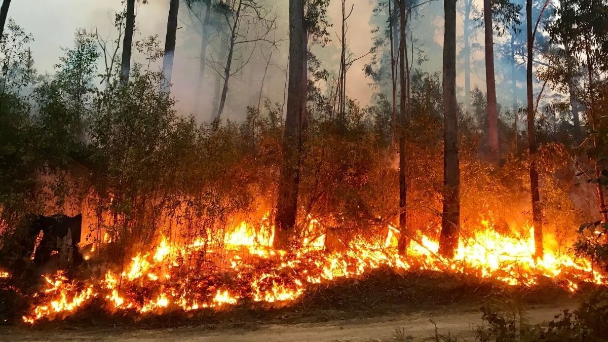 Geomagnetic induced current (2)